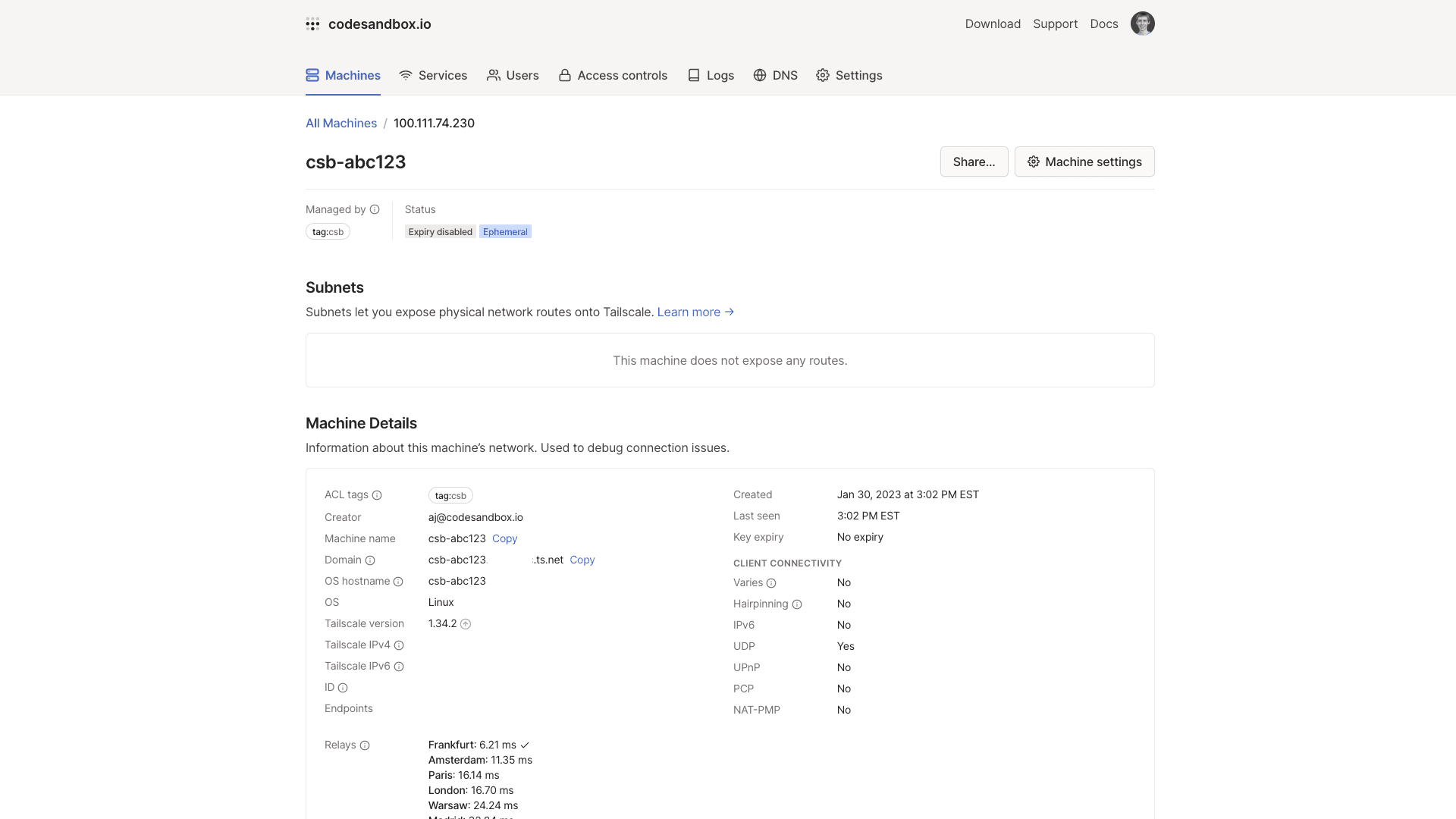 Tailscale Console showing a CodeSandbox environment