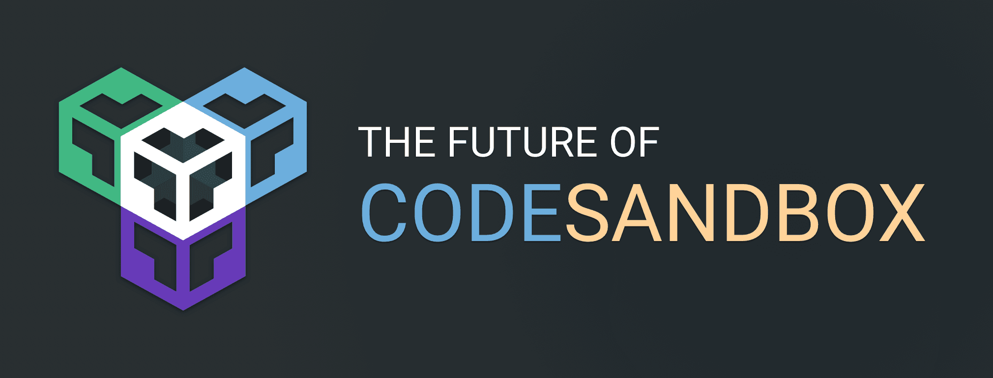The Future of CodeSandbox